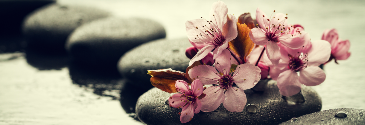 beautiful-pink-spa-flowers-spa-hot-stones-water-wet-background-side-composition-copy-space-spa-concept-dark-background.webp